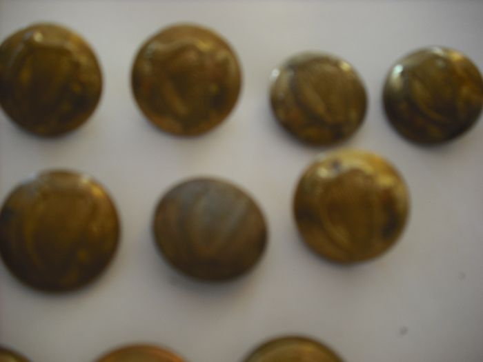 23 buttons irish volteers oglaigh na hereen irish army