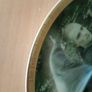 The Lord of the Rings, Wedgewood plate, The Fellowship of the Rings Image 3