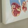 Original Oil Painting  POMEGRANATE Image 5