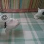 Two Spotty Pups Image 3