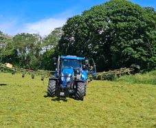 Hay.Edenderry tis MORNING.hay.with .comfort