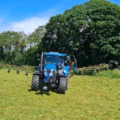 Hay.Edenderry tis MORNING.hay.with .comfort