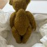 Steiff Edward Bear Image 4