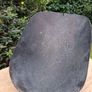 Victorian Brass Coal Scuttle Shovel Image 6