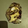 Turtle back agate Image 5