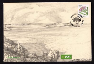 2008 Ireland Sixth Definitive Series Wild Flowers of Ireland 82c Sea-Aster self-adhesive booklet An Post First Day Cover (FDC)