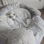 Mothercare Sit me up cosy Image 2