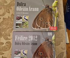 Dulra. Oileain Arann. By Con O Ruairc. First Edition Paperback In Good Condition Also A Callander . See Photos For Same.
