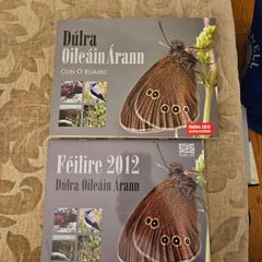 Dulra. Oileain Arann. By Con O Ruairc. First Edition Paperback In Good Condition Also A Callander . See Photos For Same.