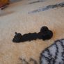 star wars pin Image 2
