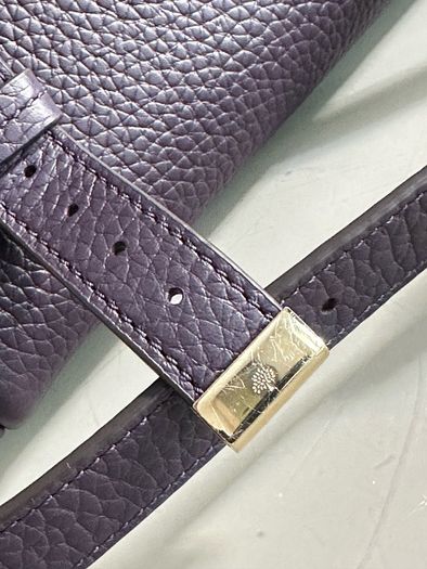 Mulberry Mini Alexa Bag
