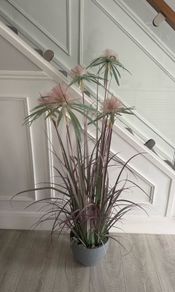 artificial dandelion papyrus grass plant