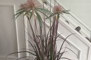 artificial dandelion papyrus grass plant