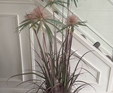 artificial dandelion papyrus grass plant