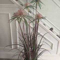 artificial dandelion papyrus grass plant