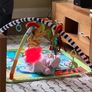 Activities mat Fisher Price Image 2