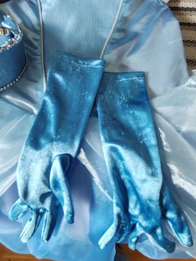 Disney princess costume, reversible