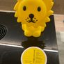 Lion First Light - Mr. Maria Image 3