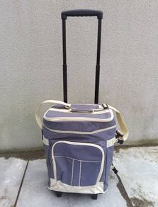 Cooler bag trolley