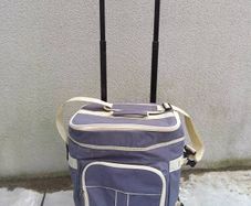 Cooler bag trolley