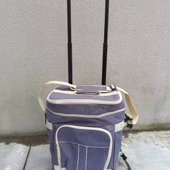 Cooler bag trolley