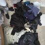 Free clothes men Image 2