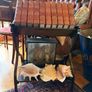 Large Victorian Book Trough Image 3