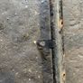 Renault Trafic Bumper Spot light Bar Image 7