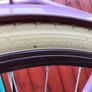 Popal Dutch Bike Image 4