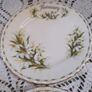 Royal Albert Flower of the month "Snowdrops " Image 5