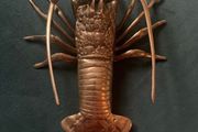 Vintage Brass Lobster