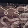 SKY Designs Lace, Ribbon and Sequins Black Top Image 3