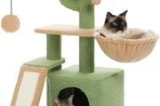 Road Cactus Cat Tree With Scratching Pad and Hammock Cat Tower With Condo, Small Cat Tower Comfy Basket For Indoor Cats, 80cm Green
