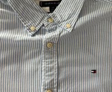 Tommy Hilfiger Blue Striped Oxford Shirt  L