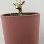 Eye-Catching Home Decor - Giraffe Lamp with Pink Shade Image 5
