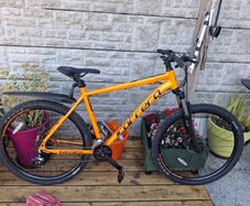 Carrera mountain bike