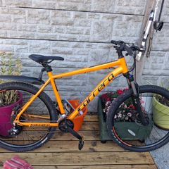 Carrera mountain bike