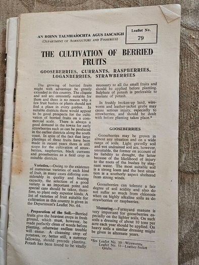 1960s Department Of Agricultural Booklets On Farming. Topics Such As Patato Growing,planting Forest Trees,desease Control And Others. In Good Condition.  See Photos For Same.