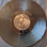 Megadeth  The Sick, The Dying... And The Dead Vinyl Image 8
