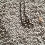 ladies silver chain and pendant Image 10