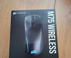 mouse