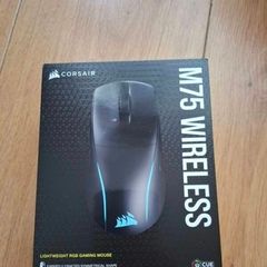 mouse