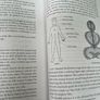 The Practice Of Tibetan Meditation Mantras Book and CD Image 4