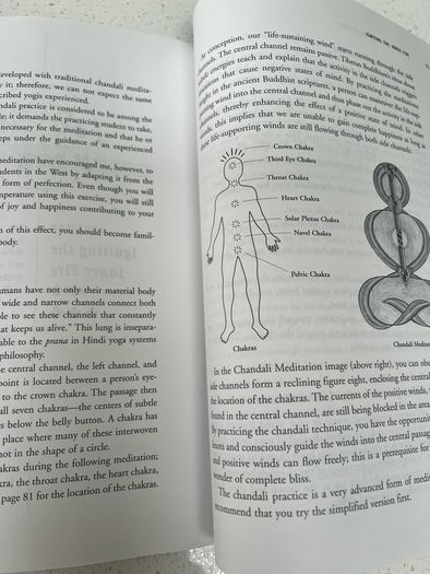 The Practice Of Tibetan Meditation Mantras Book and CD