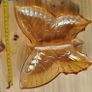 Vintage Butterfly Trinket Dish Image 4