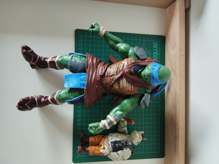 Teenage Mutant Ninja Turtles Action Figures  Leonardo (2014) & Rocksteady (2015)