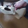 Ladies Dress Shoes Image 2