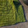 artificial grass Image 4