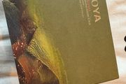voya iridescence awakening sugar scrub peppermint