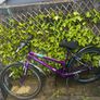 bike and helmet Image 7